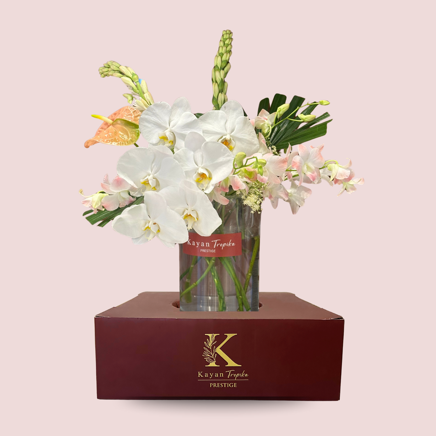 ANTONELLA Orchid Prestige Vase