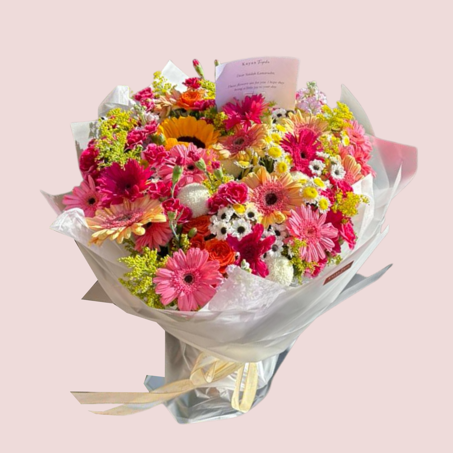 Giant Thumbelina Hot Pink